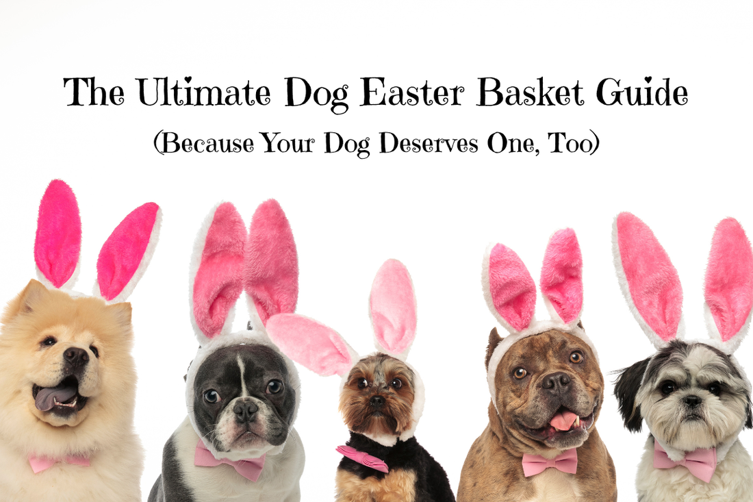 Cute dogs with Pink Easter Bunny Ears