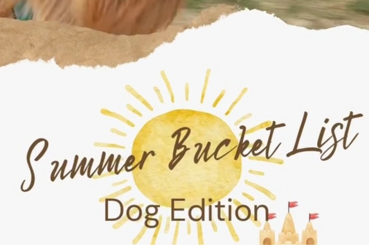 ☀️🐾 The Ultimate Summer Bucket List (Dog Edition)