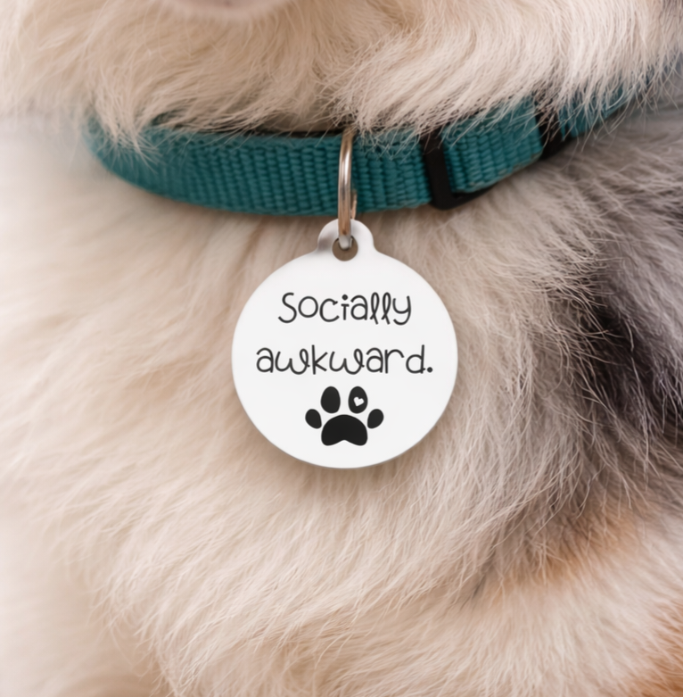 Dog Tags for Dogs with Personality