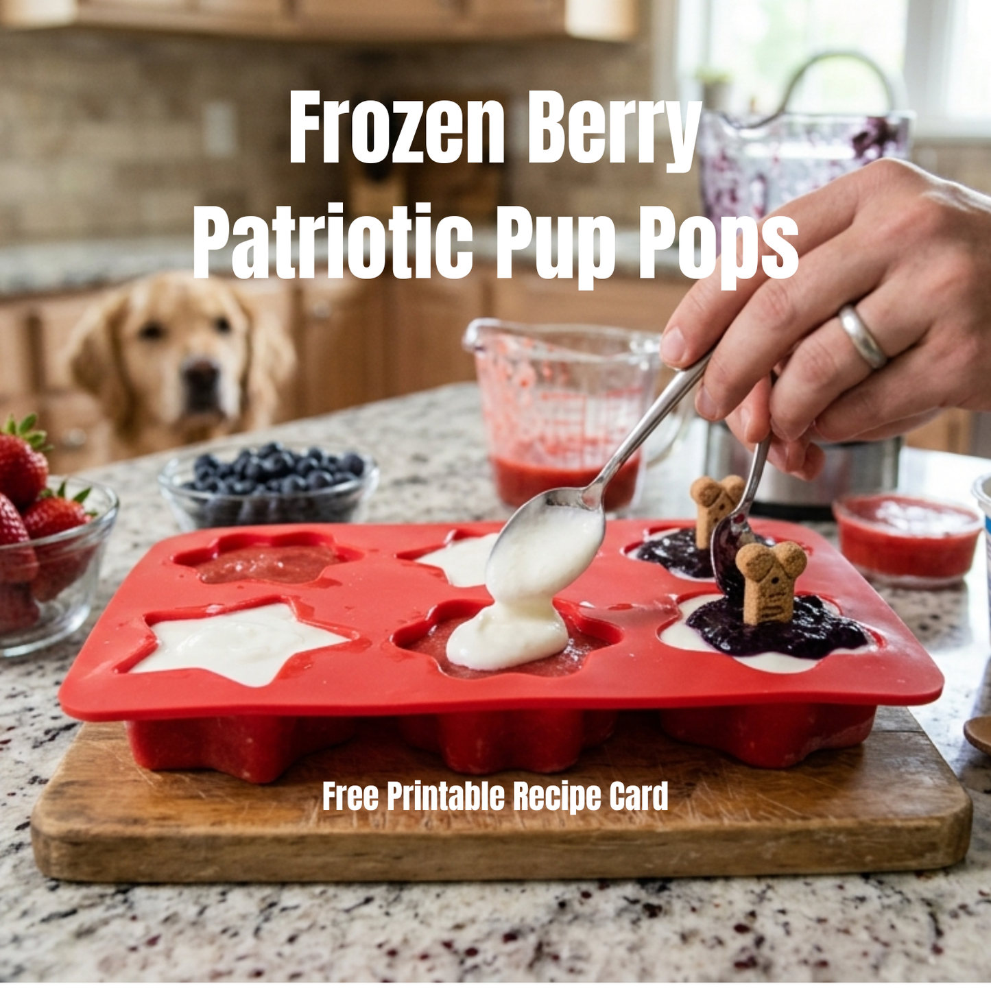 Frozen Berry Patriotic Pup Pops - Digital Recipe Card Download