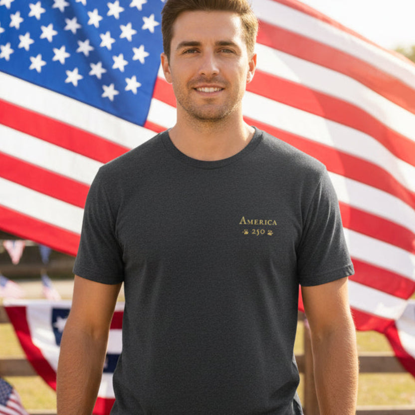 Dark Heather Grey t-shirt with 'America 250' graphic on a patriotic background